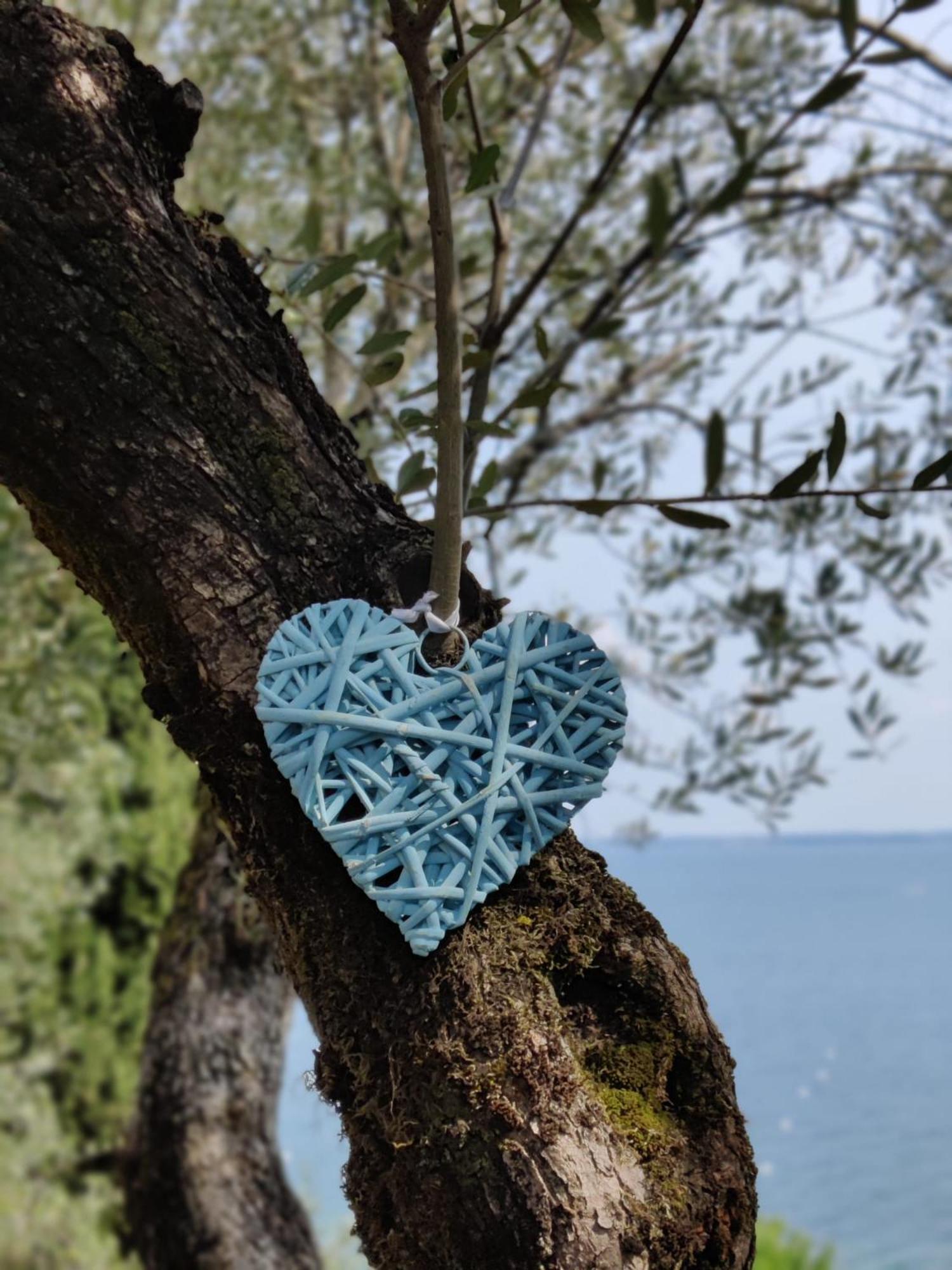 Campeggio Della Colombaia Padenghe sul Garda Εξωτερικό φωτογραφία