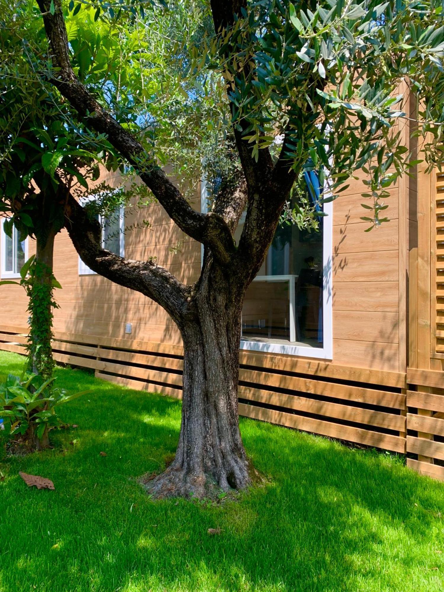 Campeggio Della Colombaia Padenghe sul Garda Εξωτερικό φωτογραφία